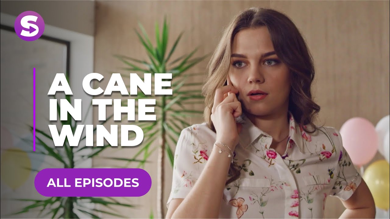 A Cane In The Wind | All Episodes