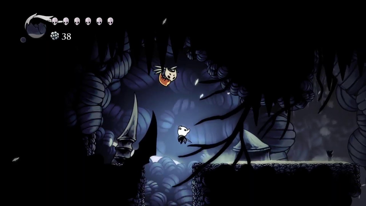 Hollow knight