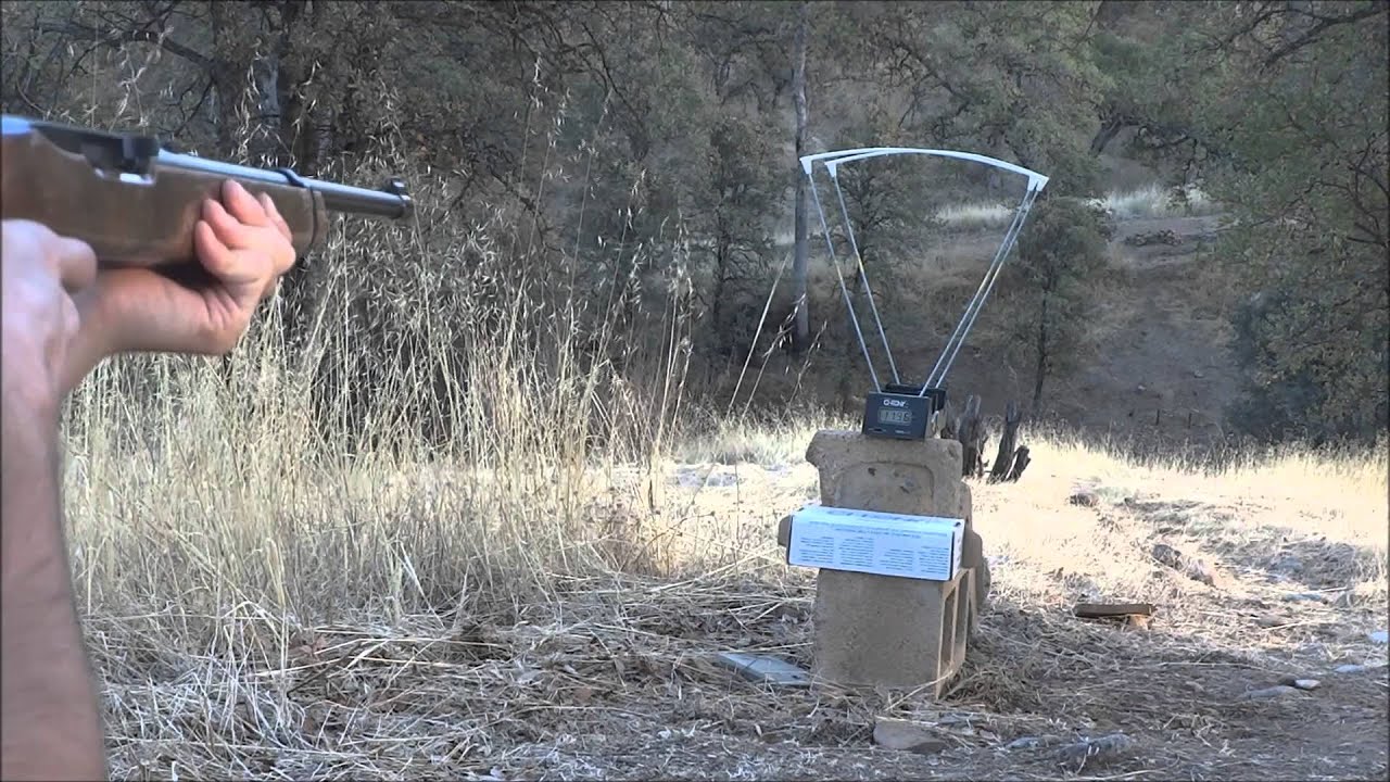 .22LR CCI standard velocity chronograph test