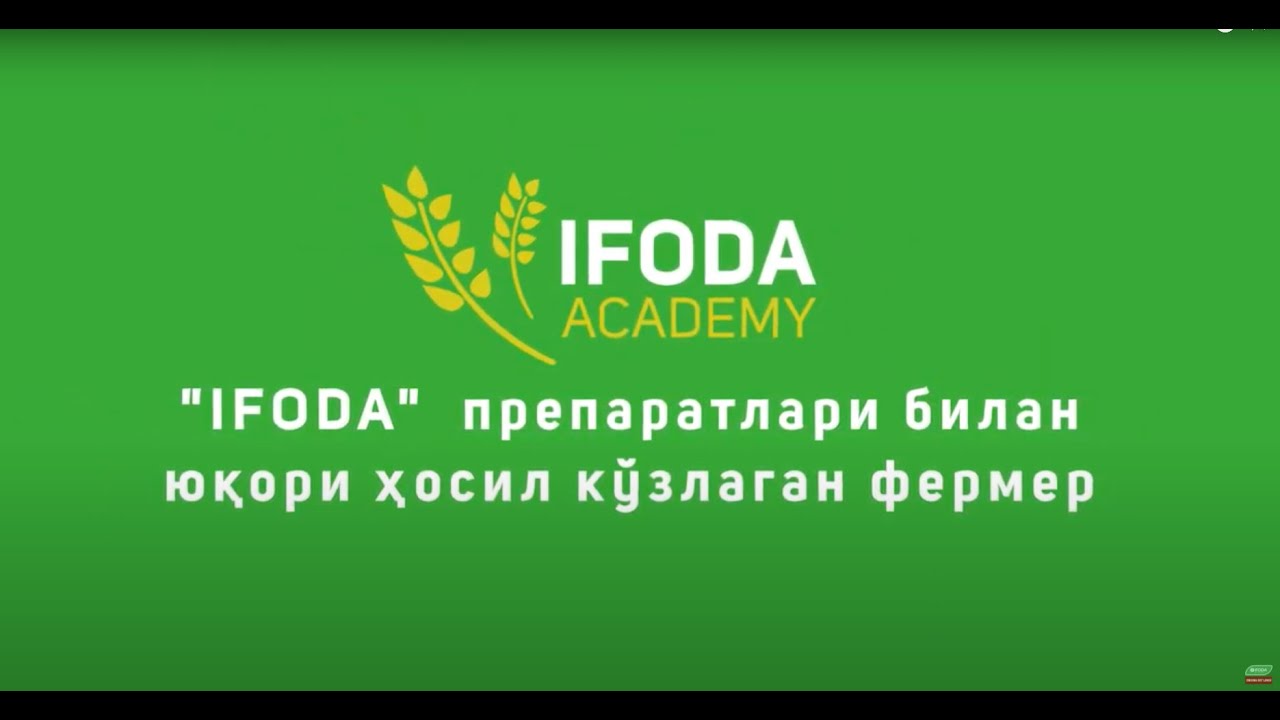 &ldquo;IFODA&rdquo; препаратлари билан юқори ҳосил кўзлаган фермер