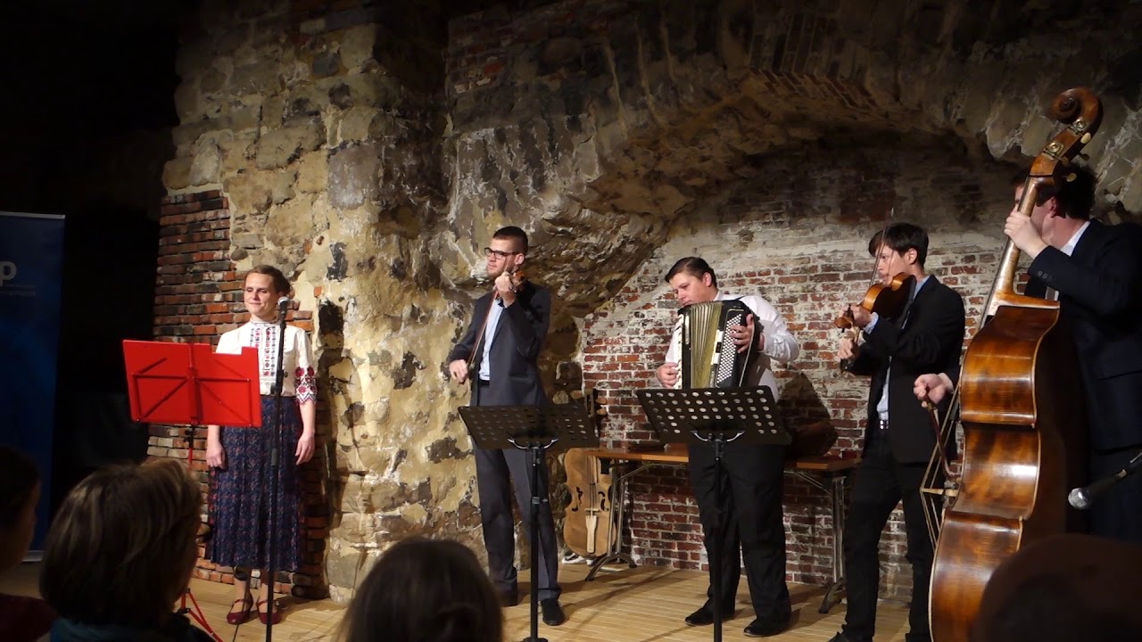 Demeter Panni & Bajkó: Nyárádmenti muzsika