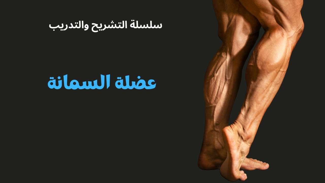 عضلة السمانة - افهمها كأنك مدرب