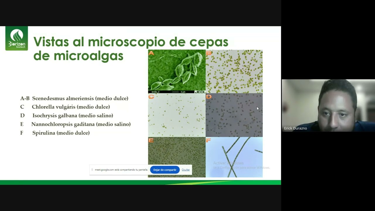 Nuevas Tecnologías a Base de Microalgas, y su Uso en la Agricultura Moderna, XVI WDDC