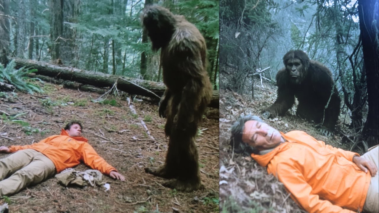 A Hunter Was Dying in the Forest. A Bigfoot Appeared. What Happened Next Will Shock You!