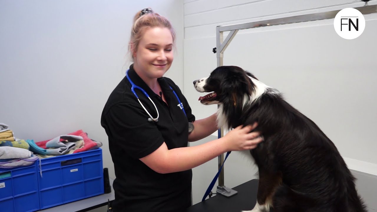 Behind the Scenes: TAFE NSW | Graduate Tour | Vet Nursing