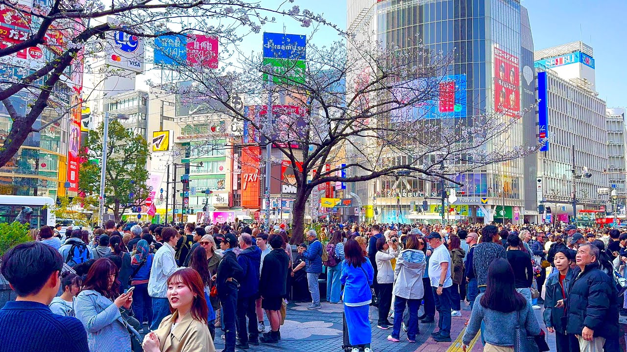 A Holiday walking tour in Shibuya in 4K HDR. Tokyo, Japan. 