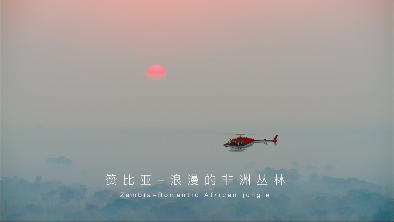 浪漫的非洲叢林：贊比亞 The Romantic African Jungle: Zambia｜非洲之行 Trip to Africa【攝影家羅紅】
