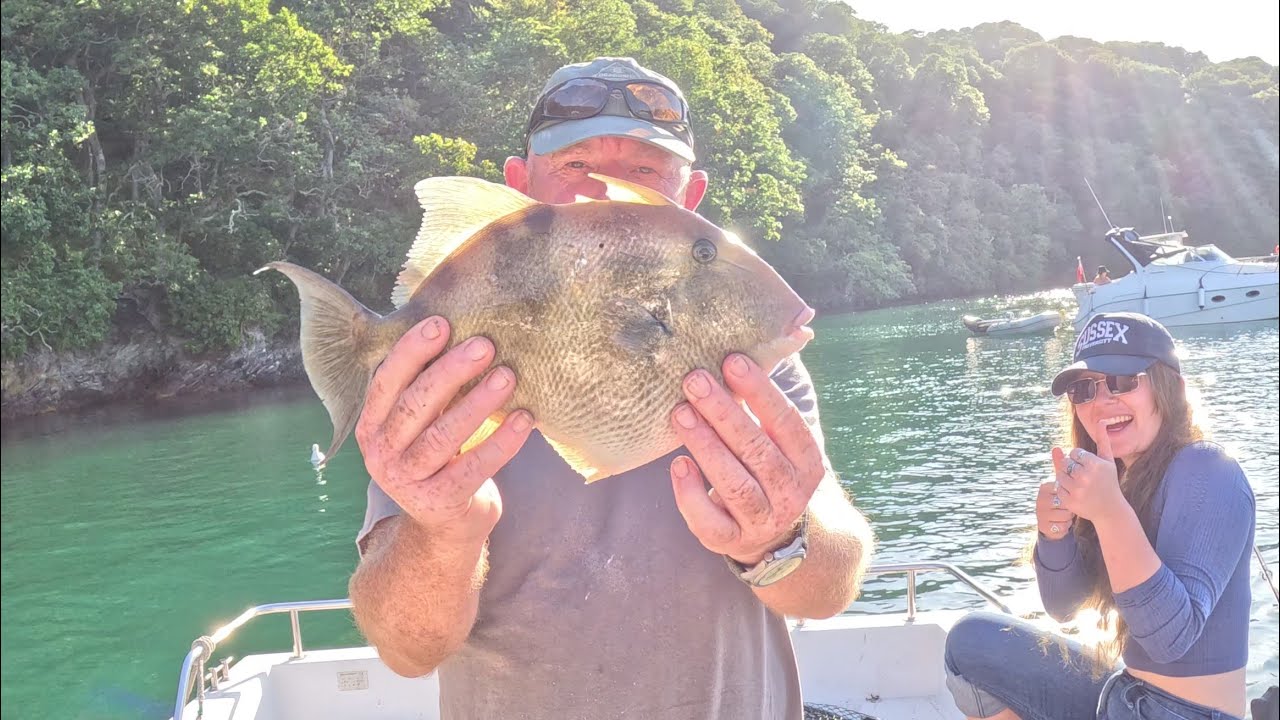 Devon triggerfish and Mullet.