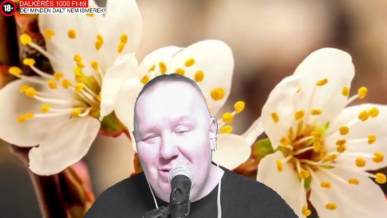 NŐNAPI KÜLÖNKIADÁS ZENÉSZ GABIVAL