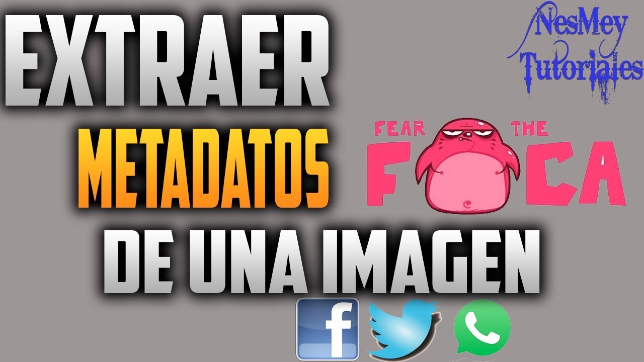 EXTRAER METADATOS DE UNA IMAGEN CON FOCA