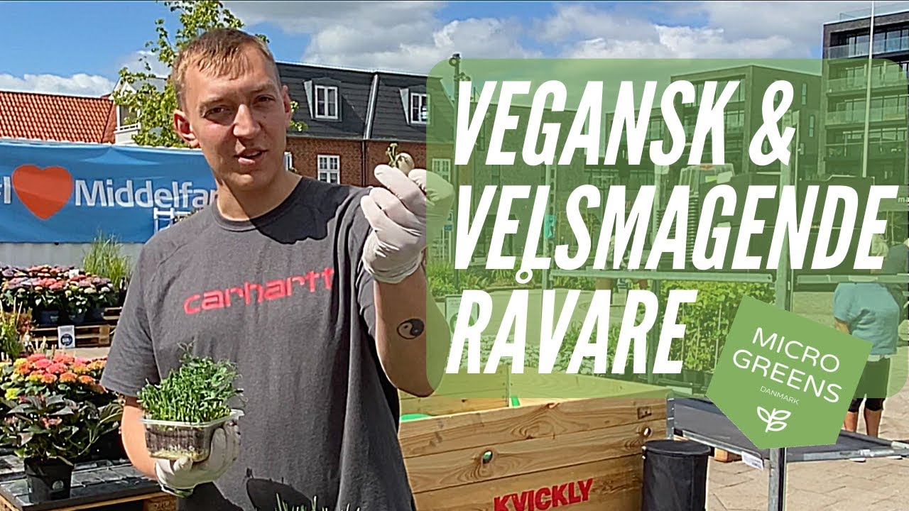 MicroGreens er B&aelig;redygtige Superfoods!