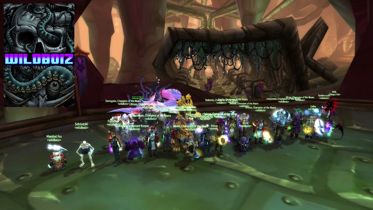 TBC classic - SSC Lady Vashj - Shaman Kiter POV
