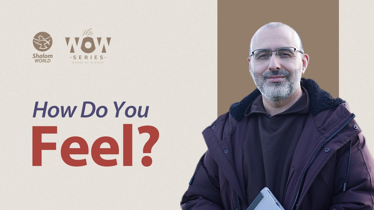 He Sends His Word to Heal You ||  Fr. Hayden Williams OFM Cap || The WOW Series