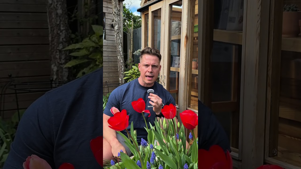 Экскурсия по саду в апреле. #садоводство #растения