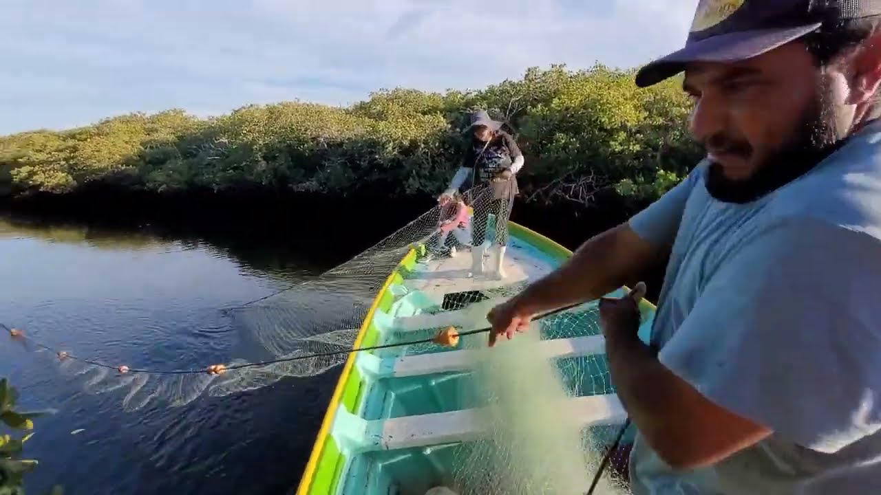 Pesca de corvinas en los esteros 