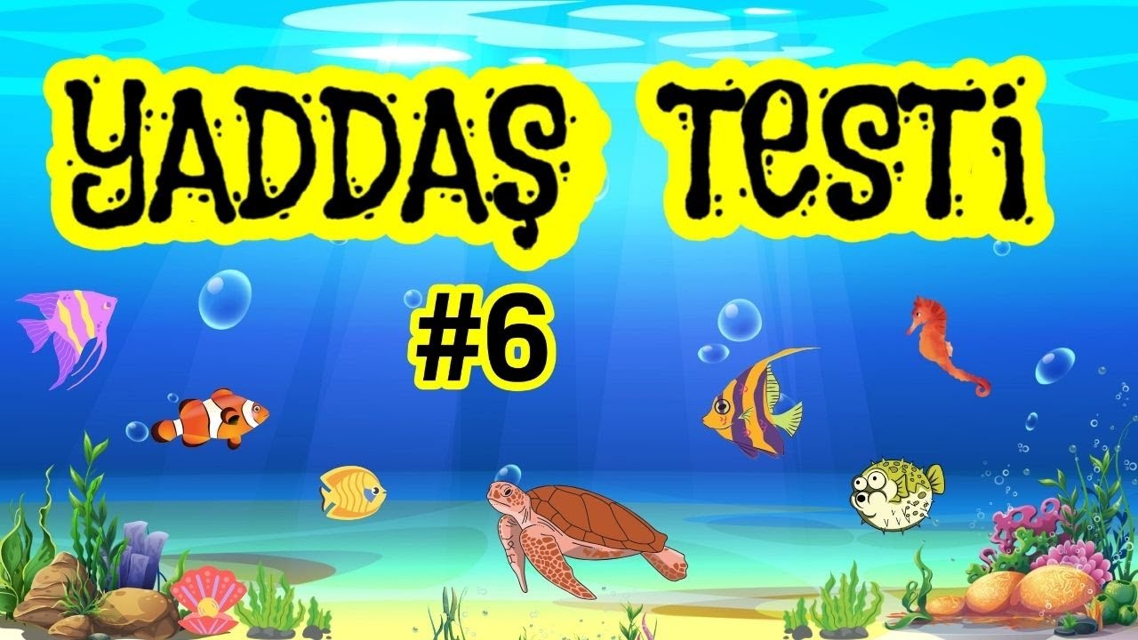Dəniz Temalı - &Ccedil;ətin Yaddaş Testi