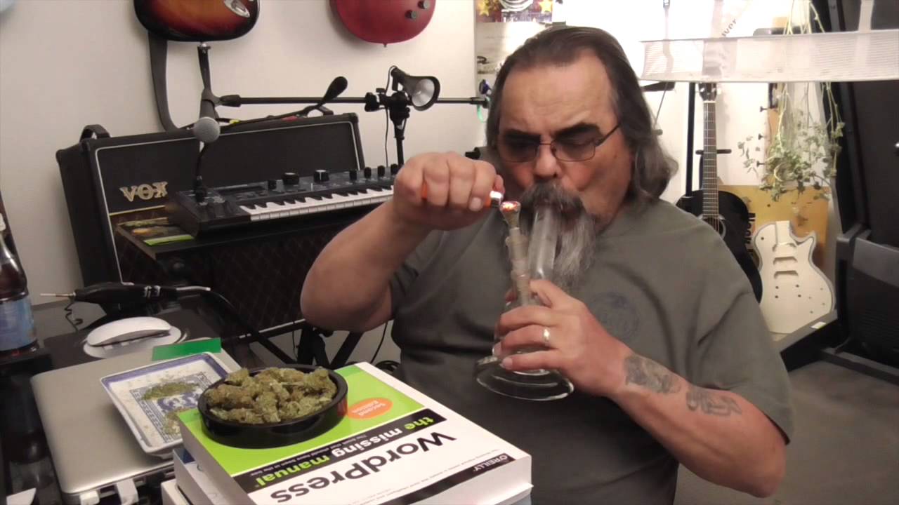 strain Review Criticle Hog
