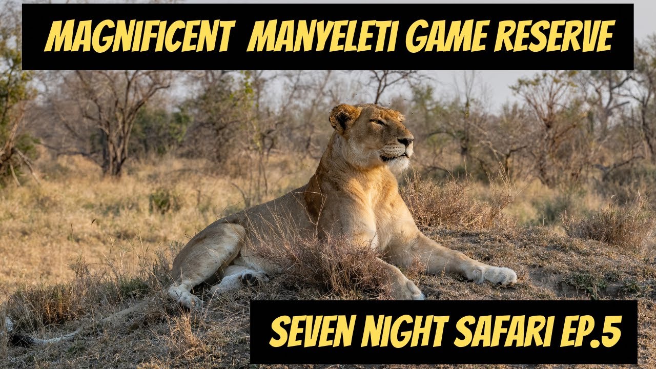 Magnificent Manyeleti Game Reserve - 7 Night Safari  Ep. 5