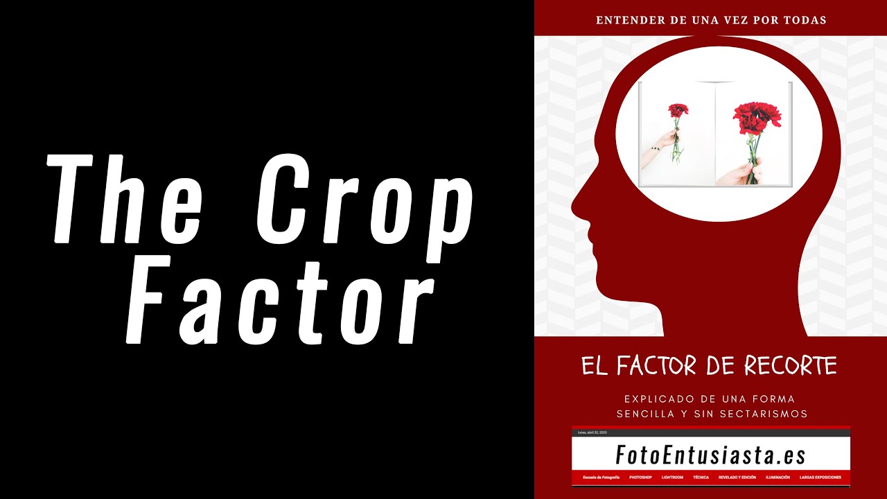 El factor de Recorte