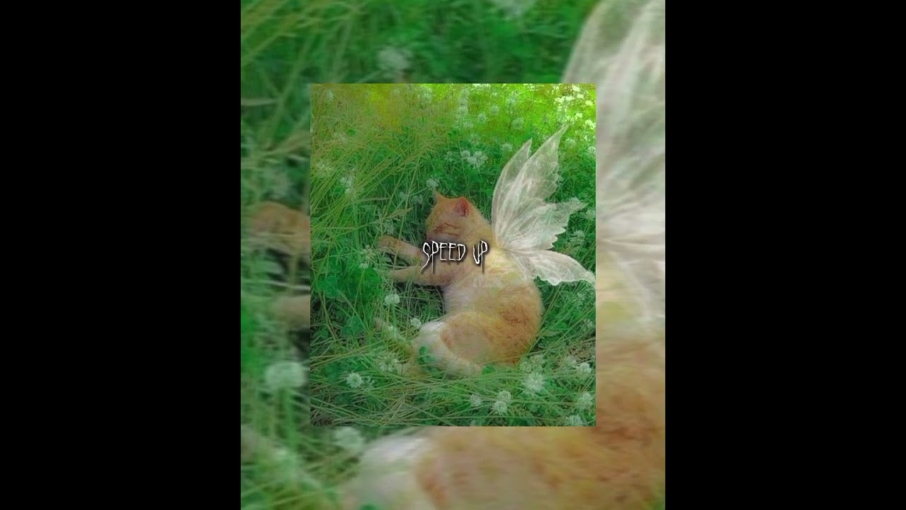 Король и Шут~ Утренний рассвет (Speed up)