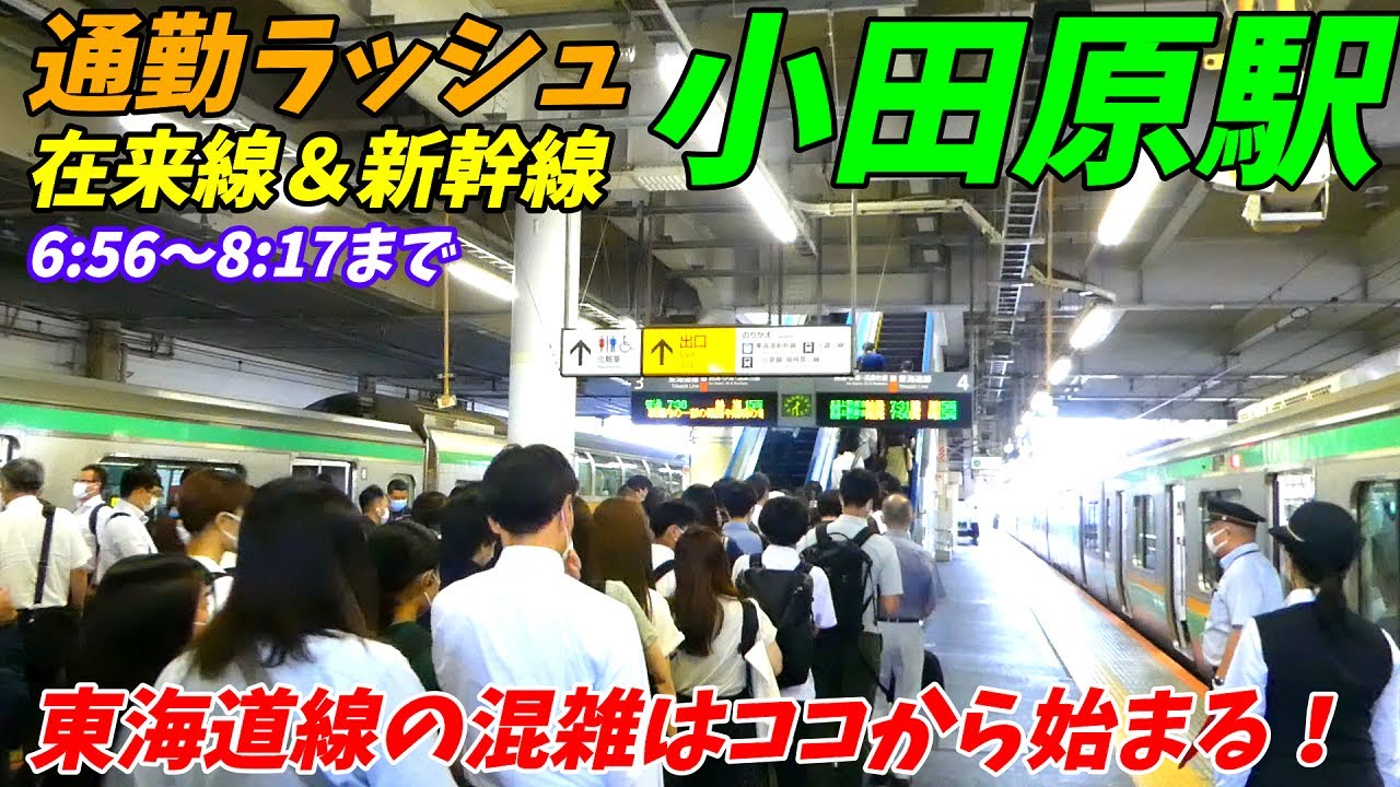 【新幹線通勤が有名！】小田原駅の朝ラッシュを全線調査してみた！東海道線、小田急線、大雄山線、箱根登山鉄道、東海道新幹線【神奈川県小田原市】