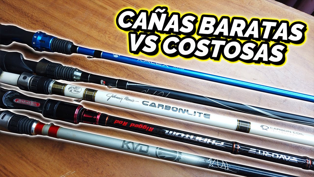 Ca&ntilde;as ECONOMICAS vs COSTOSAS &iquest;Por qu&eacute; cuestan m&aacute;s?