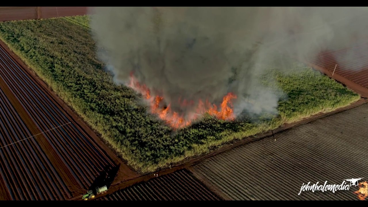 The Hummock Sugar Cane Fire 4K
