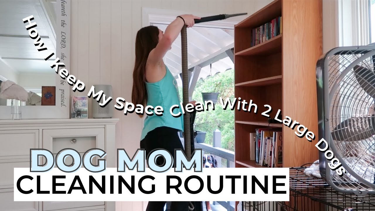 DOG MOM CLEANING ROUTINE | how i keep my space clean with 2 large dogs, non-toxic cleaning products
