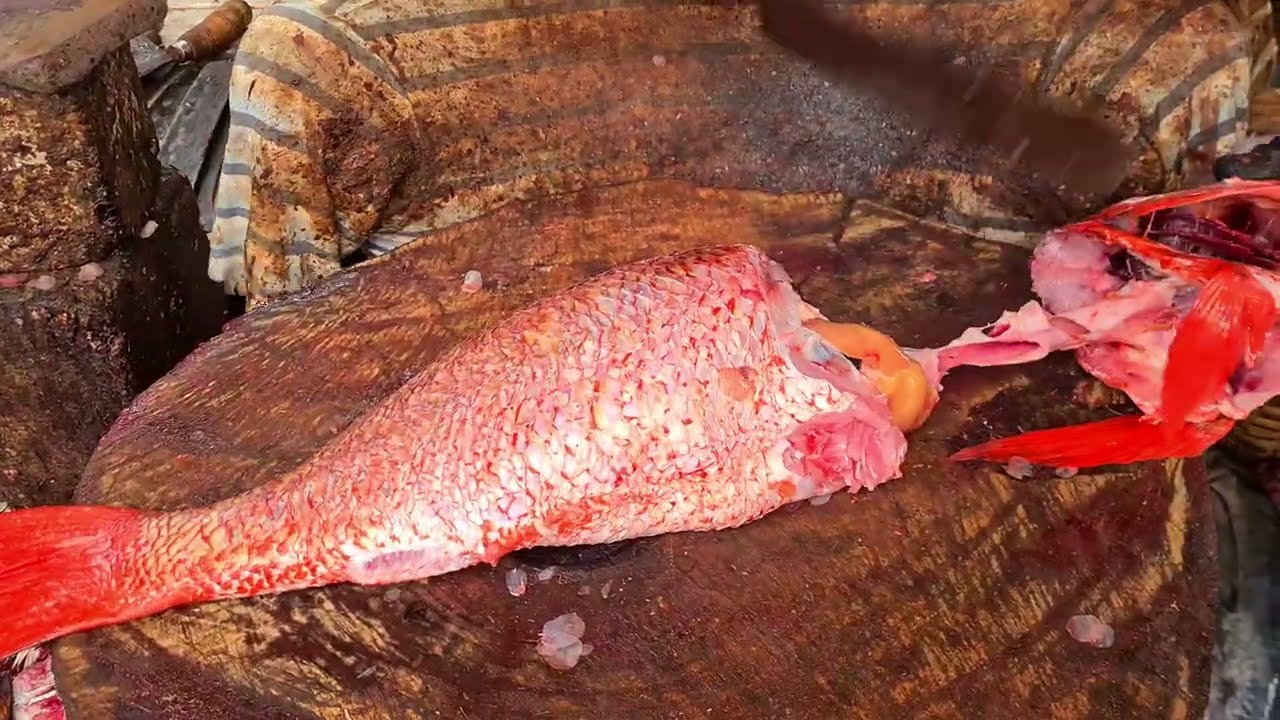 KASIMEDU FISH MARKET 🔥RED SNAPPER FISH CUTTING 🔥  #kasimedufishmarketlatest #speedselvam