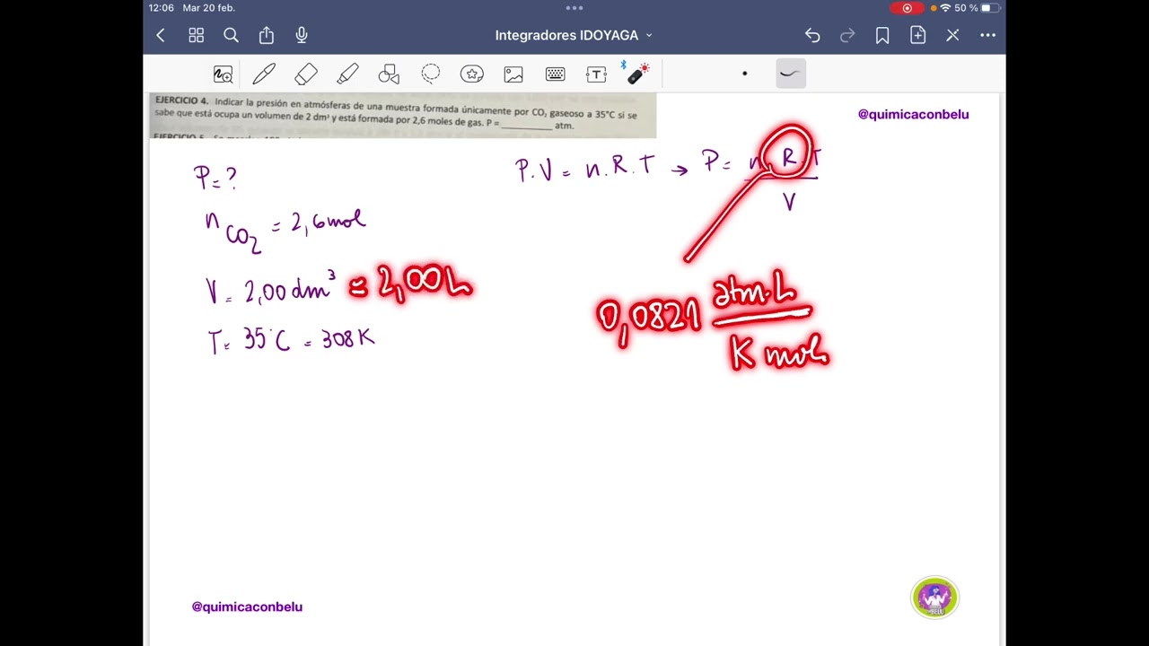 Integrador 2da versión Idoyaga