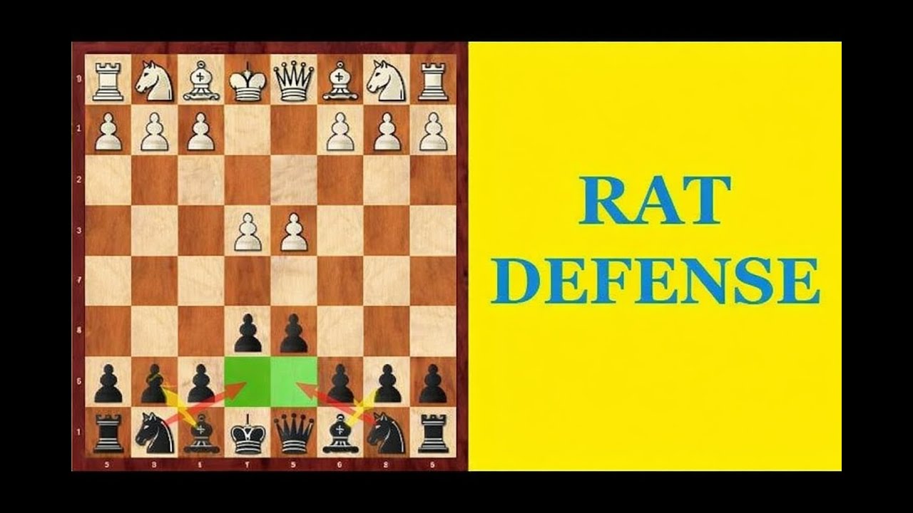 RAT DEFENSE. A CUNNING CHESS OPENING. Chess School d4–d5.