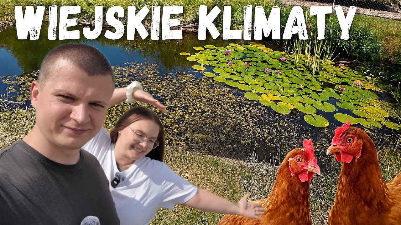 Wiejskie Klimaty - Odławianie i Zarybianie Stawu