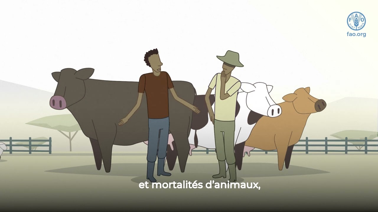 Ce que vous devez savoir sur la fièvre de la vallée du Rift
