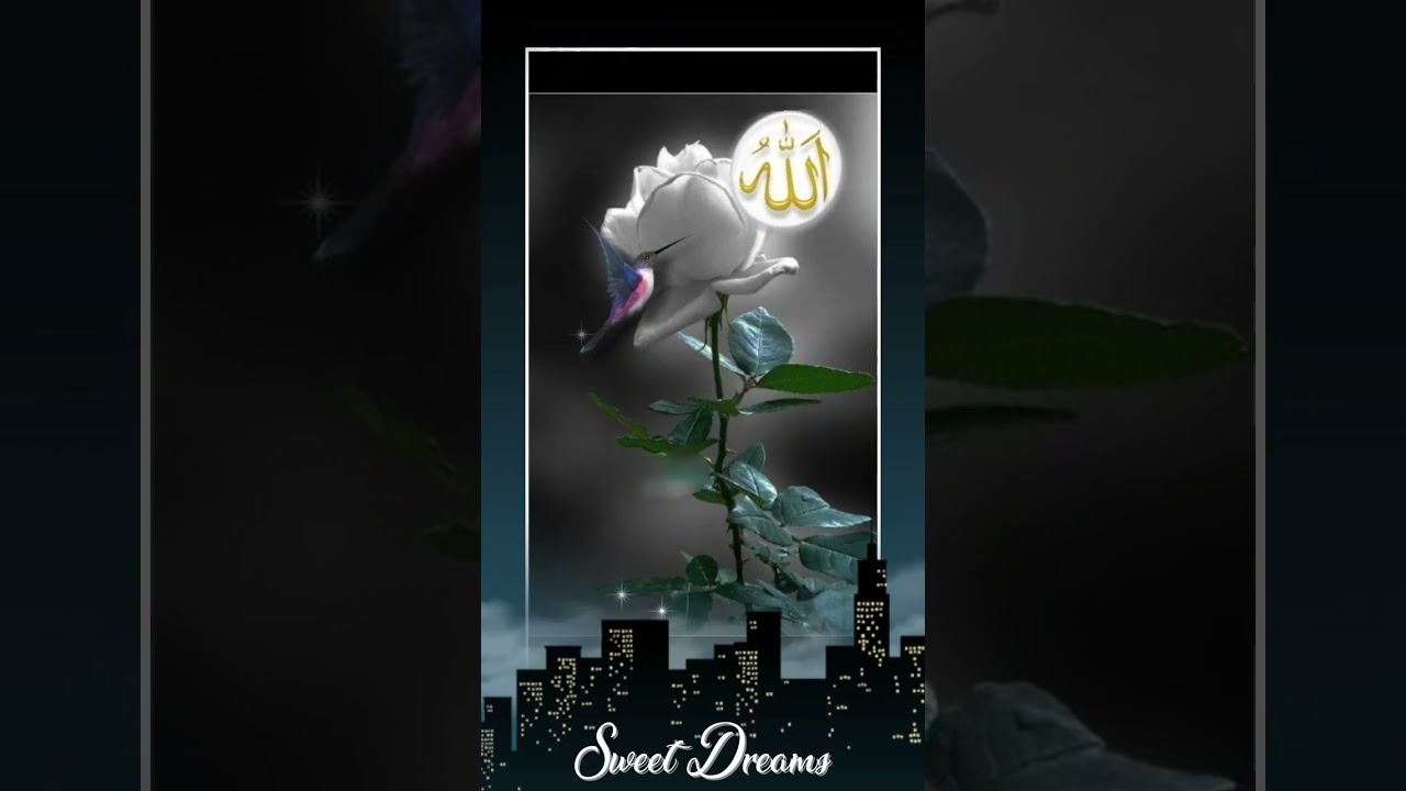 islamic video | good night🌙 