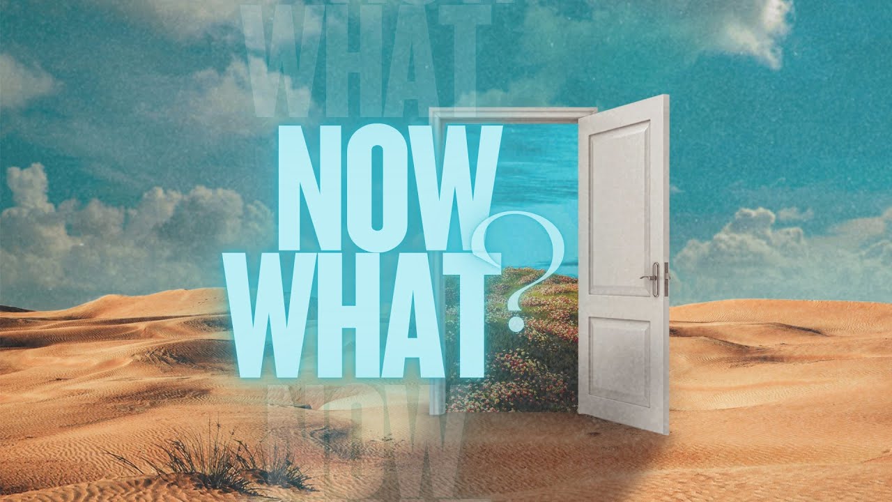 What Now? - Week 1