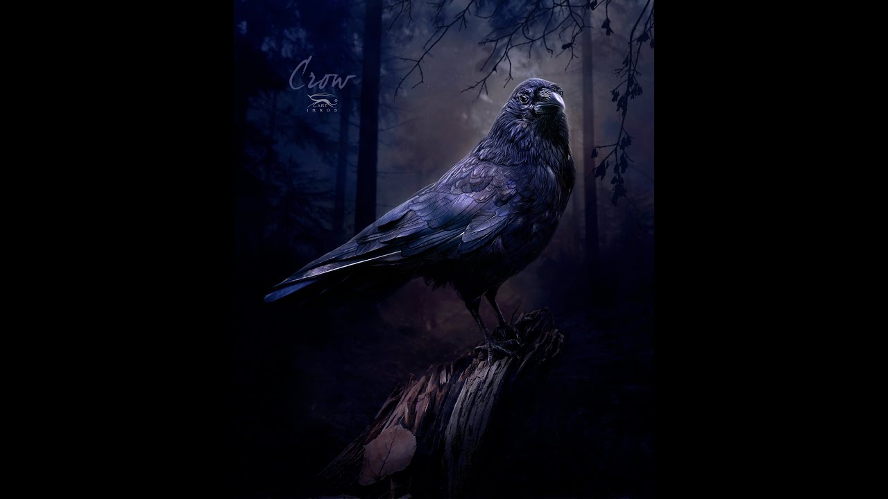 CROW original оригинал. Одна из лучших мелодий на гитаре. Авторская музыка Ким Джин Сана.