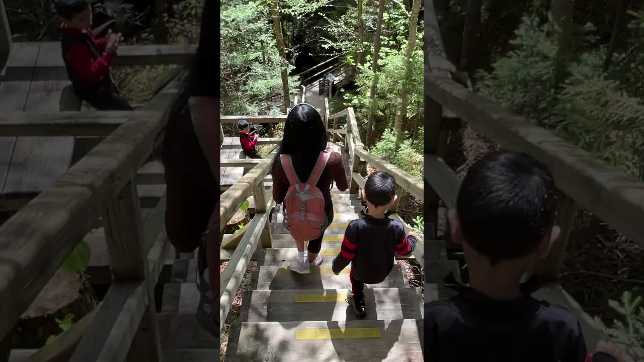 TINAGO FALLS DREAMING 