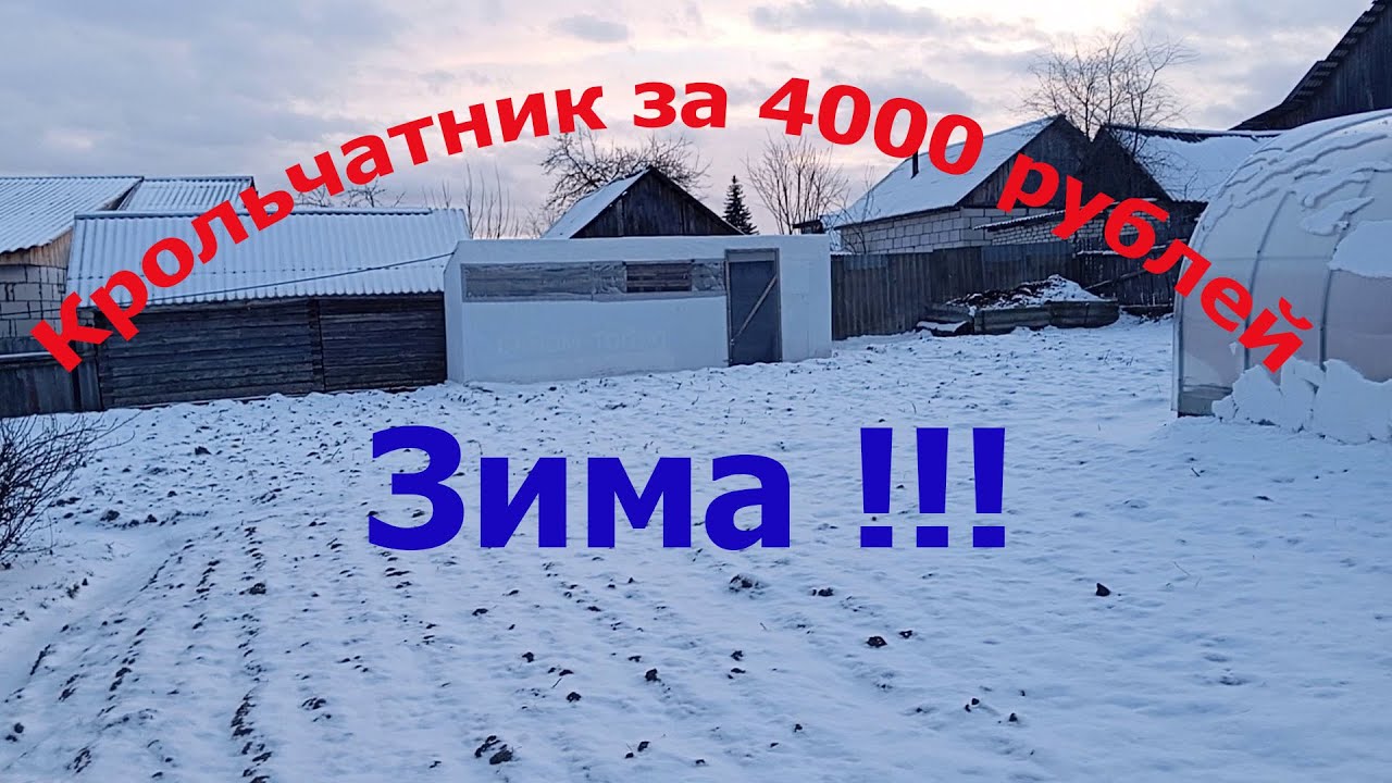 Крольчатник за 4000 рублей.  Зима.