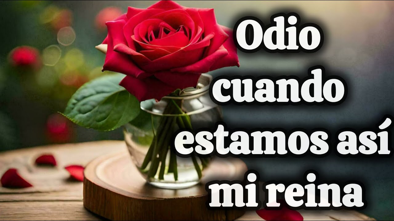 Odio cuando estamos así mi reina
