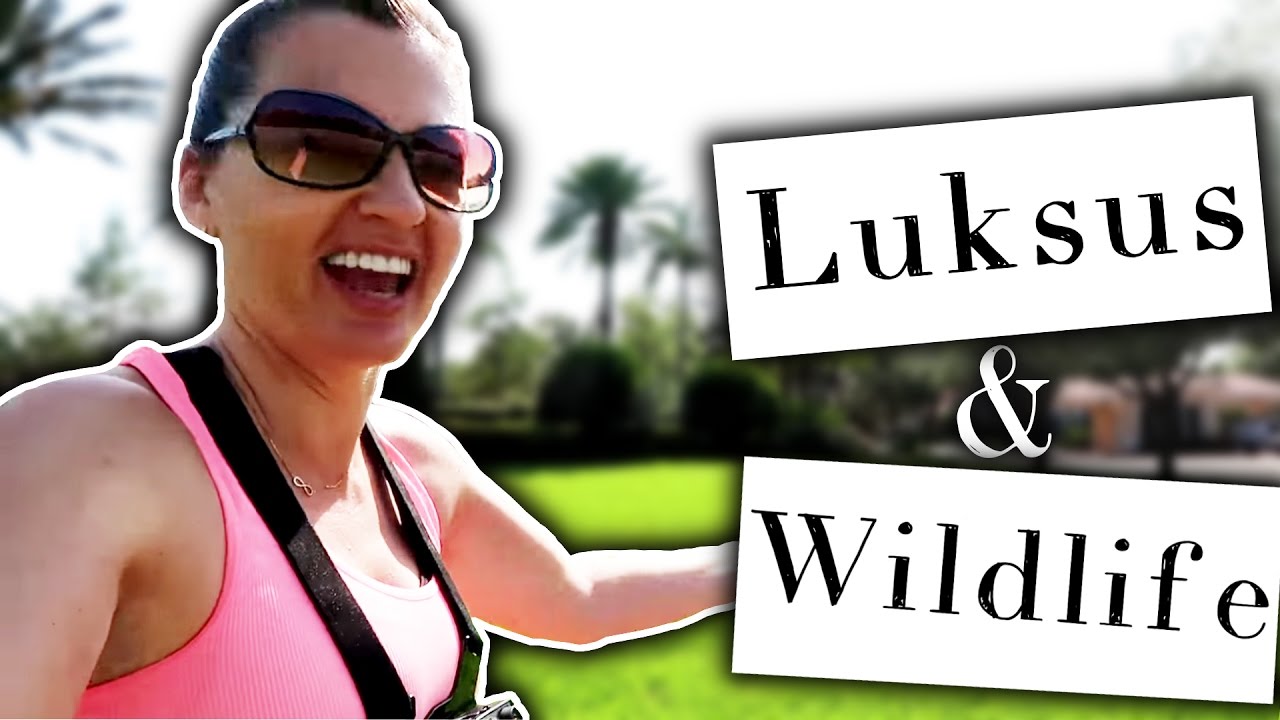 Luksus & Wildlife!🦁 / Życie na Florydzie⛱ / 101