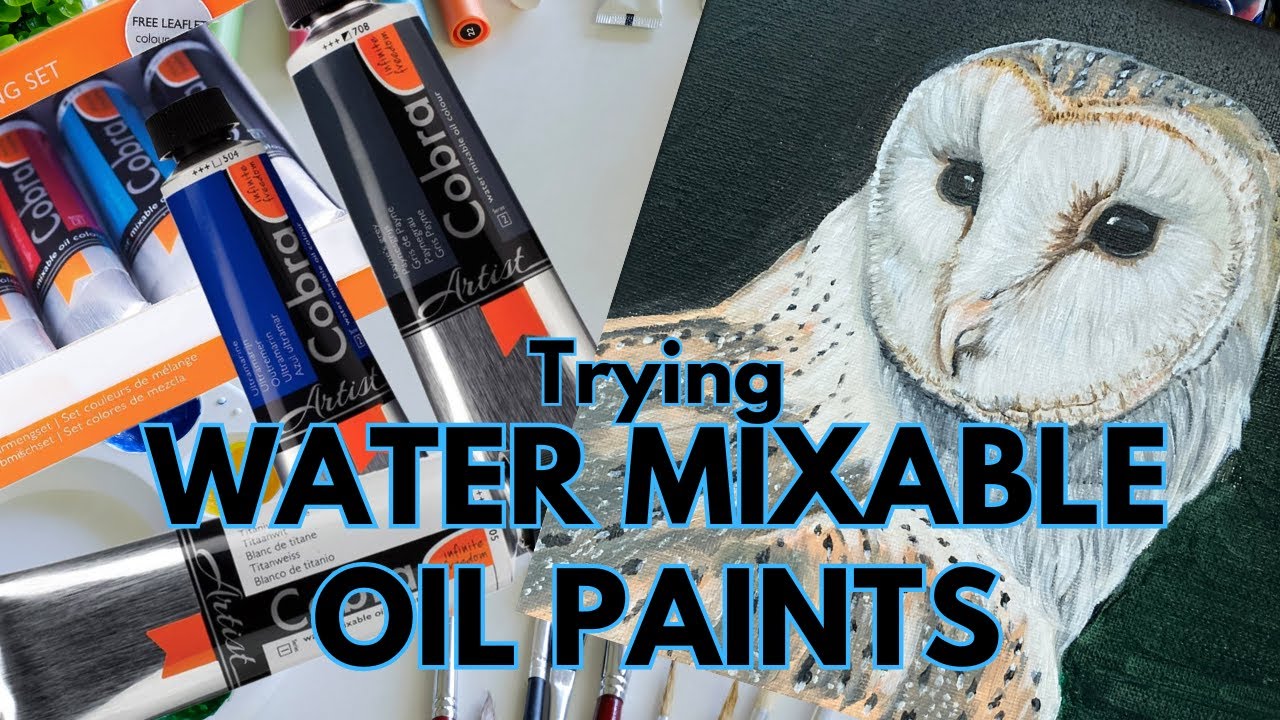 Testing out Water Mixable Oil Paints and painting a Barn Owl