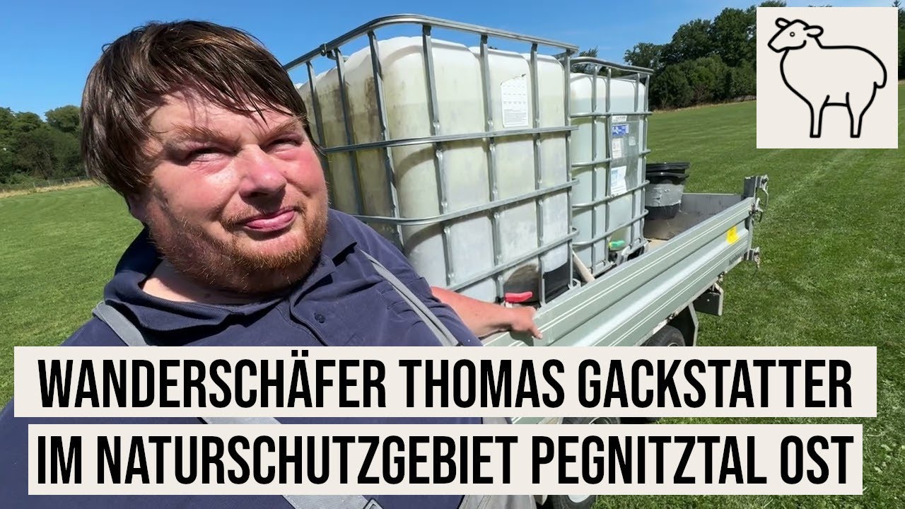 12.08.2024 Nürnberg Wanderschäfer Thomas Gackstatter im Naturschutzgebiet #Pegnitztal Ost