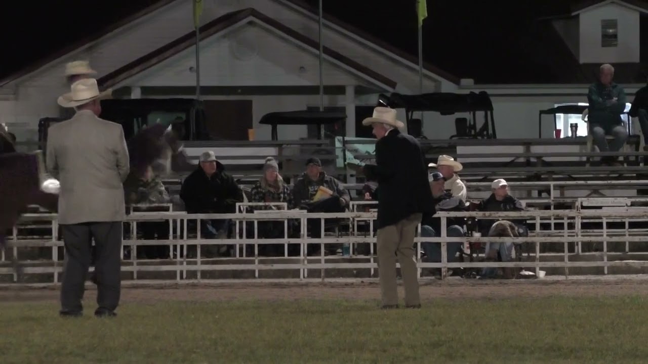 2024 Celebration - WGC Senior Open