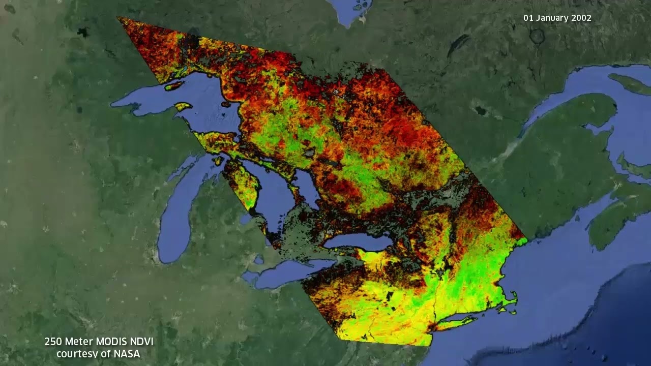 What can you do with the spatiotemporal analysis tools in ENVI? | DEMO