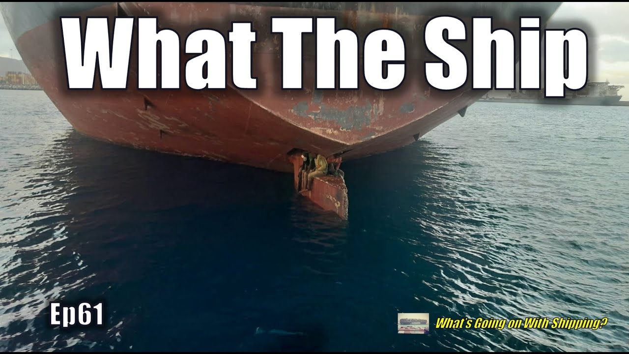 What the Ship (Ep61) |  Grain Prices | Russian Oil | Container Profits | Cruise Mishaps | Stowaways