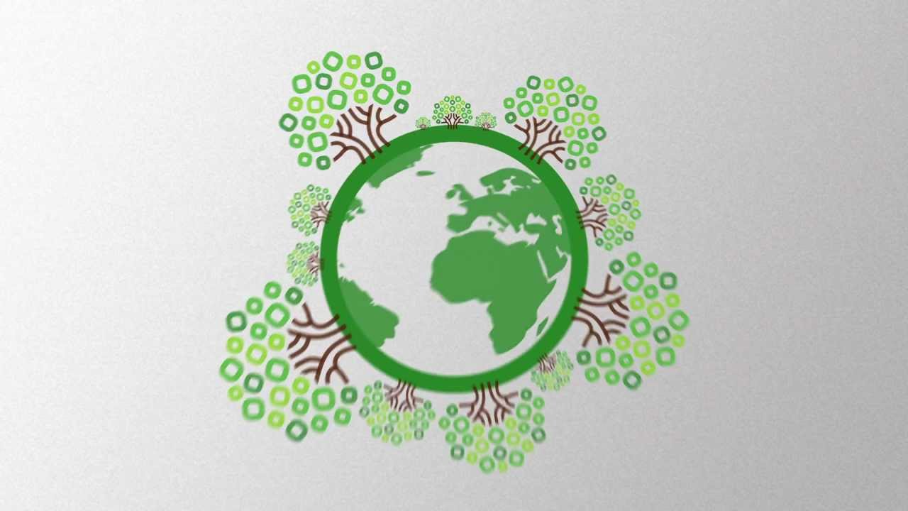 Aephoria.Net