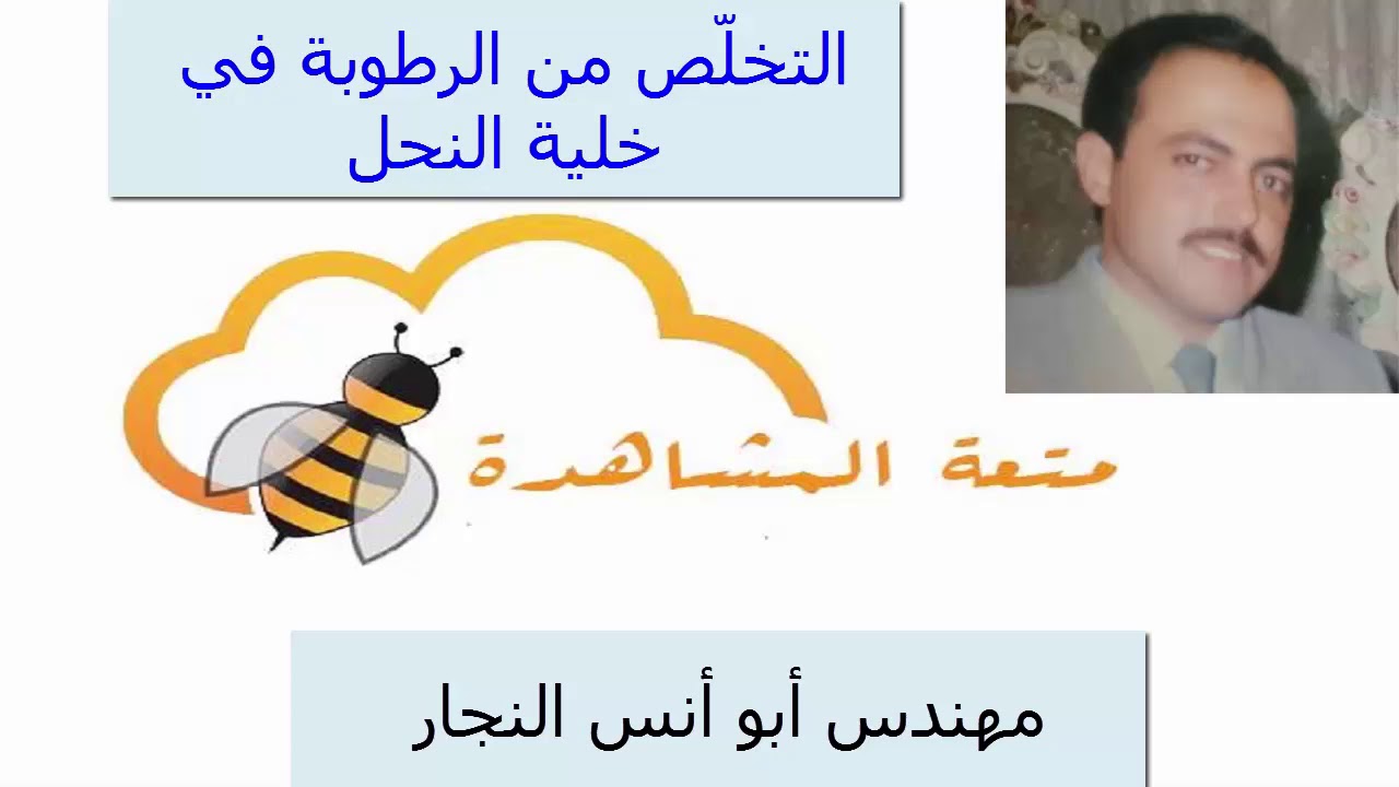 طريقة التخلص من الرطوبة في خلية النحل