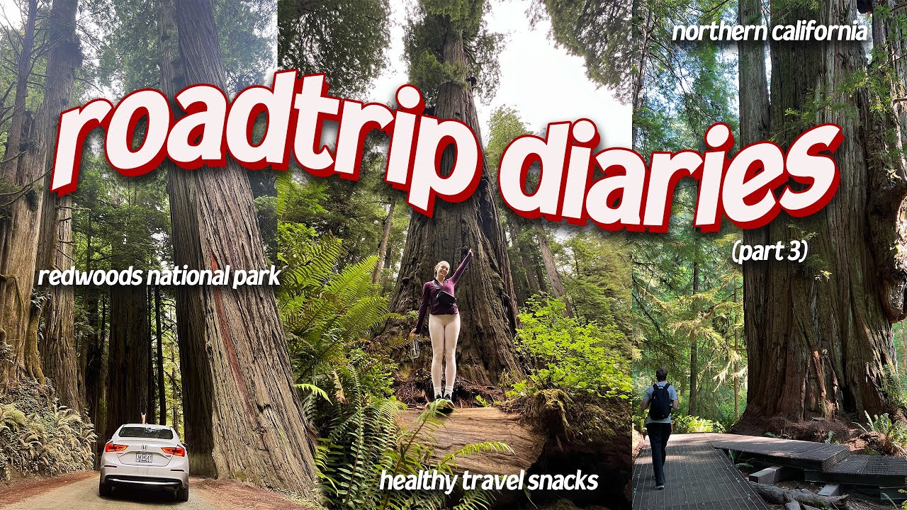 THE ULTIMATE SUMMER ROADTRIP (vlog) part 3 | northern cali, hiking in the redwoods, travel snacks