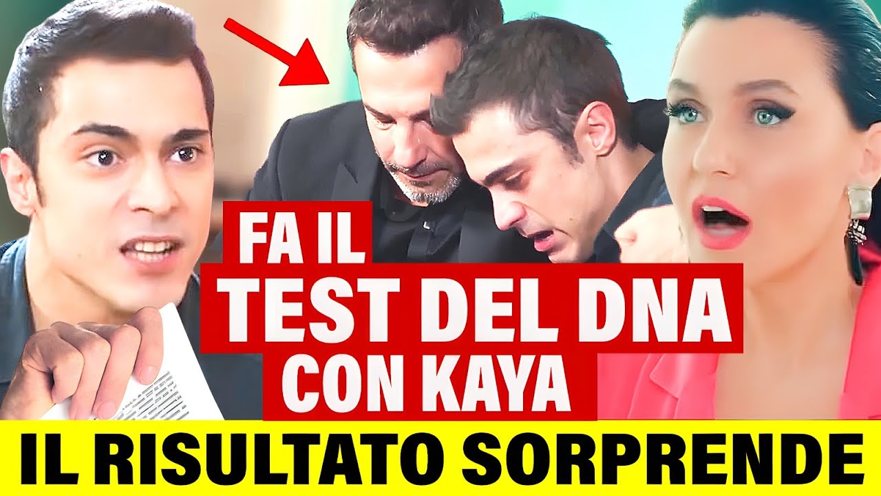 FORBIDDEN FRUIT: Yigit fa il test del DNA! Scopre se Kaia è suo padre e il risultato rivela una cosa