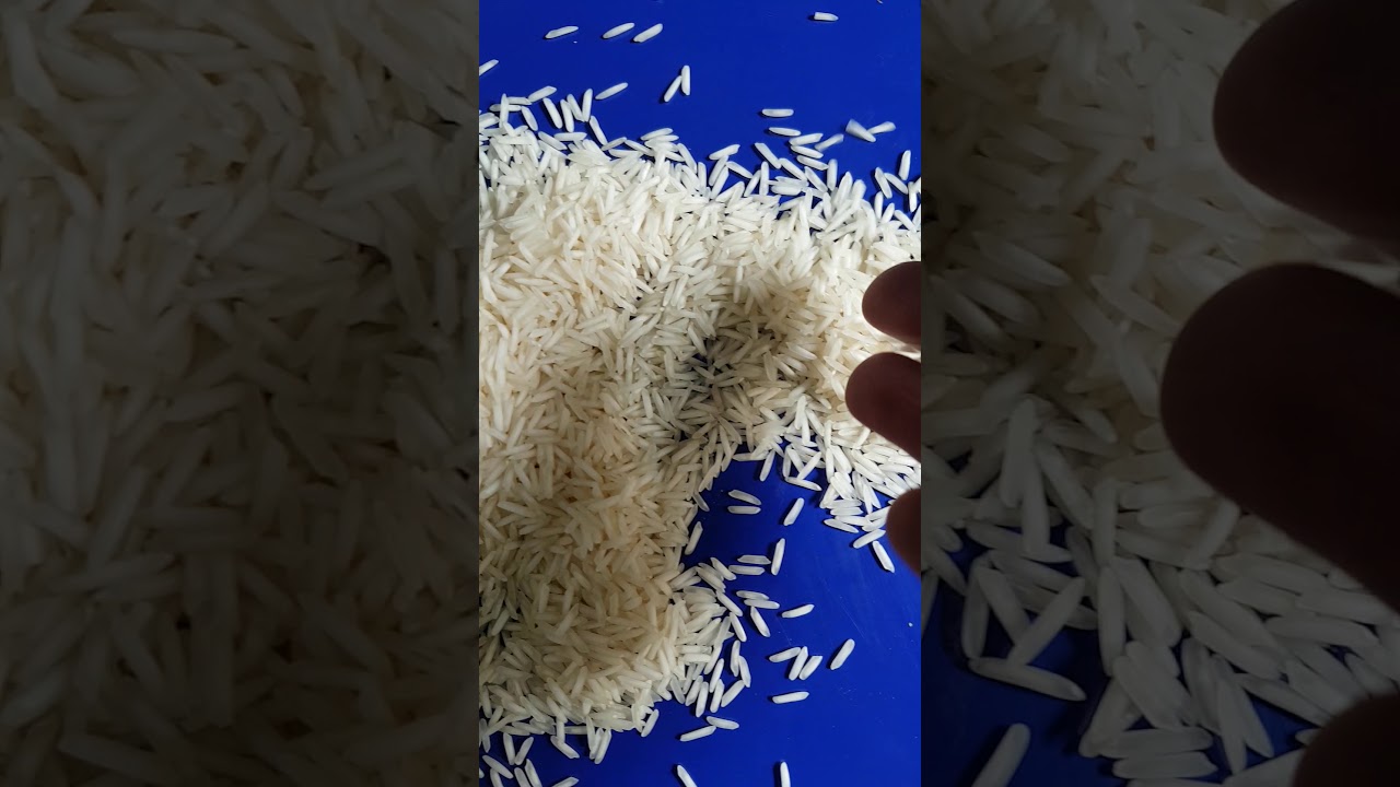 Indian Pusa Basmati 1718 steamed Rice | बासमती 1718 राइस | full video of analysis is coming soon...